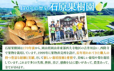 【先行予約】あたご 梨 約1.3kg 2玉 化粧箱 石原果樹園 《11月中旬-12月下旬頃より発送予定》岡山県 浅口市 フルーツ 果物 ギフト 贈り物 国産 岡山県産 送料無料