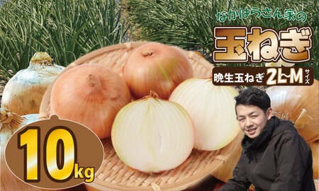 【先行予約受付中】タマネギ（晩生玉ねぎ）なかはら農園 （10kg）サイズ2L～Mサイズ （たまねぎ、玉葱）A070-022
