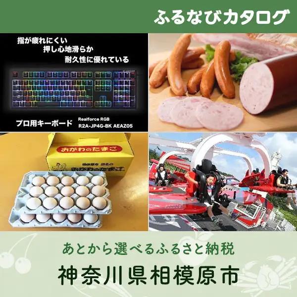 【有効期限なし！後からゆっくり特産品を選べる】神奈川県相模原市カタログポイント