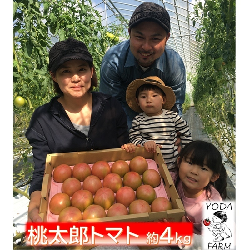 
            [№5615-0786]桃太郎トマト 約4kg 野菜 トマト とまと 岡山県 高梁市産  産地直送
          