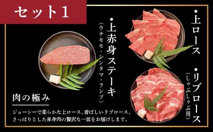 【2025年11月以降順次発送】【3回定期便】希少な特選石垣牛をご家庭で！！全3回合計1.1kg　上ロース、上赤身（ウチモモ、シンタマ、ランプ）ステーキ用各400gずつ、リブロースしゃぶしゃぶ用300