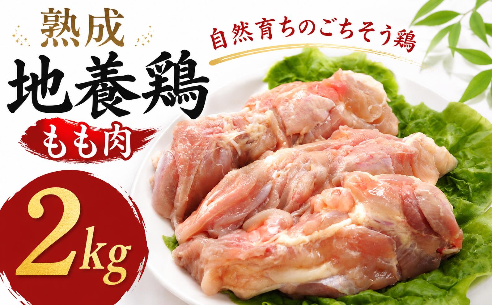 
                  熟成地養鳥 もも 肉 2kg 冷蔵 地鶏 鶏もも肉 国産 鶏肉 モモ肉 徳島県産 ブランド ジューシー 旨味 肉厚 歯ごたえ 美味しい 人気 お祝い クリスマス BBQ チキン ステーキ 唐揚げ 蒸し チキン南蛮 ビール ヘルシー タンパク質 徳島県 三好市 みよし 貞光食糧
                