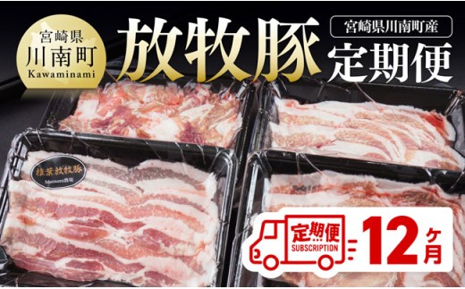【12ヶ月定期便】宮崎県川南町産豚肉　放牧豚定期便 【 豚 肉 豚肉 国産 九州産 宮崎県産 川南町 加工品 セット 送料無料 】