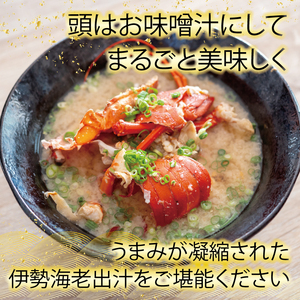 でっかい天然伊勢海老  刺身用 1kg以上 冷凍 伊勢海老 伊勢海老 伊勢海老 伊勢海老 IKY100