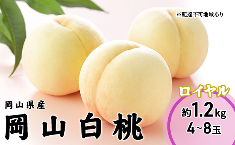 桃 2025年 先行予約 岡山 白桃 ロイヤル 4～8玉 1.2kg 岡山県産 JAおかやまのもも （早生種・中生種） もも モモ 岡山県産 国産 フルーツ 果物 ギフト