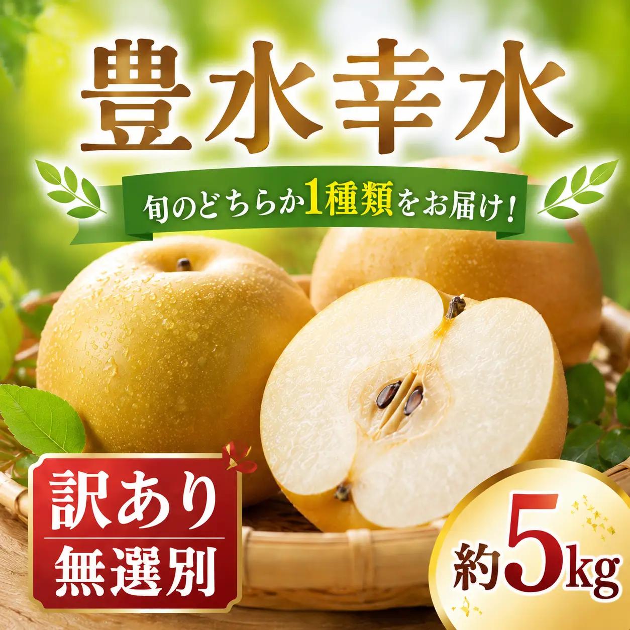 梨 約 5kg 【2027年発送分 先行予約】訳あり 豊水 幸水 なし 梨 