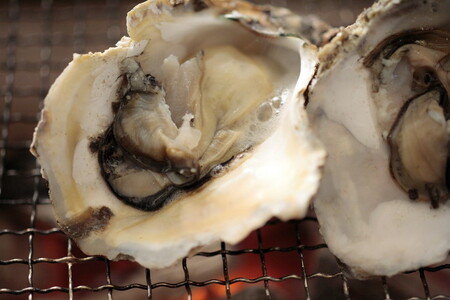 能登産 岩牡蠣（2.5kgセット／8〜10個入）専用ナイフ 片手用軍手付 加熱用 冷蔵配送 ※2025年6月中旬～2025年8月下旬頃に順次発送予定 ※離島への配送不可