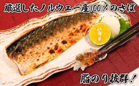 訳あり 無塩さば 5kg 鯖