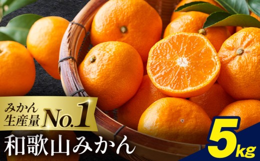 和歌山みかん 約5kg 和歌山県産  《2026年11月中旬-2027年1月中旬頃出荷(土日祝除く)》たっぷり ご家庭用 2L～2S 産地直送 みかん 旬 蜜柑 ミカン 柑橘 果物 フルーツ 和歌山県 岩出市 【訳あり/サイズ不選別】