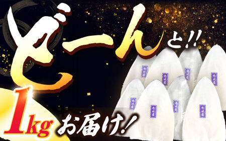 【冷凍】剣先イカ 刺身用 1kg　剣先烏賊 《壱岐市》 【一支國屋】海鮮 烏賊 イカ いか 刺身 刺し身 お刺身 剣先イカ 冷凍配送[JCC021]
