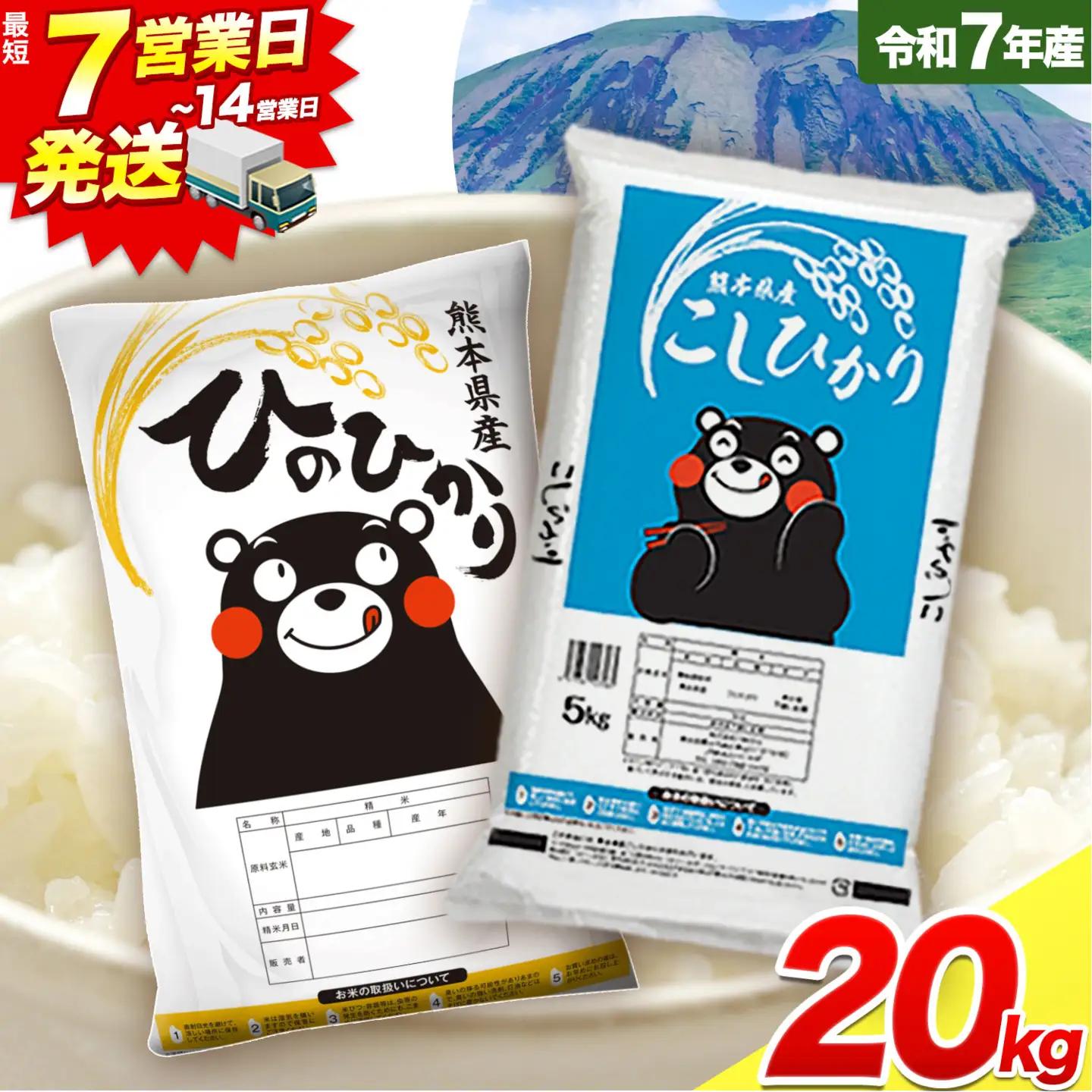 令和7年産 米 無洗米 ひのひかりこしひかり 食べ比べ 20kg《7-14日以内に出荷(土日祝除く)》 白米 精米 無洗米 熊本県産(南阿蘇村産含む) 単一原料米 南阿蘇村 ひの こし 送料無料 熊本県 SDGs 米 コメ こめ 国産