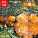 【ふるさと納税】低温貯蔵 ハウス 不知火　約3kg　【フルーツ・果物類・みかん・柑橘類・約3kg・不知火・シラヌヒ】　お届け：2025年4月上旬～4月下旬