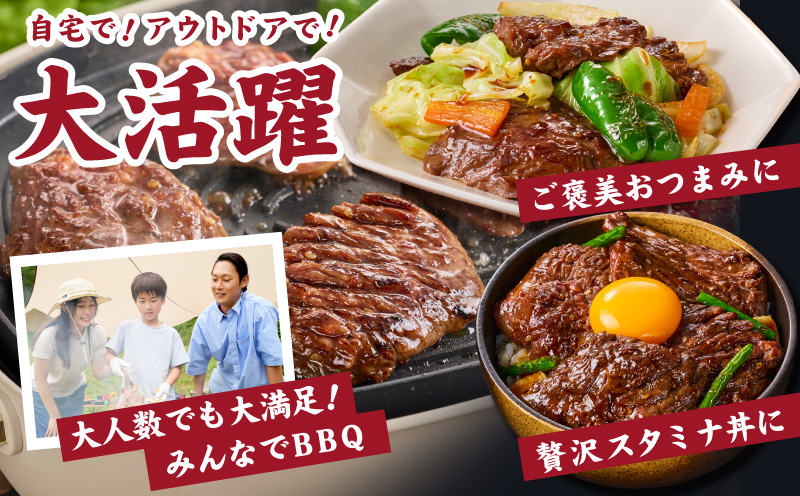 ガツめし牛ハラミ 1.2kg 追いダレ漬け【焼肉 600g×2P はらみ ハラミ 牛肉 訳あり サイズ不揃い】 G4018