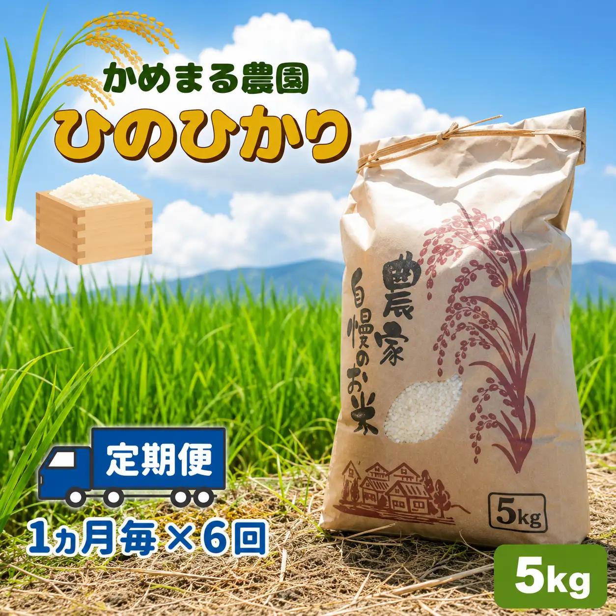 【定期便6回】 米 ひのひかり 5kg×6回 | かめまる農園
