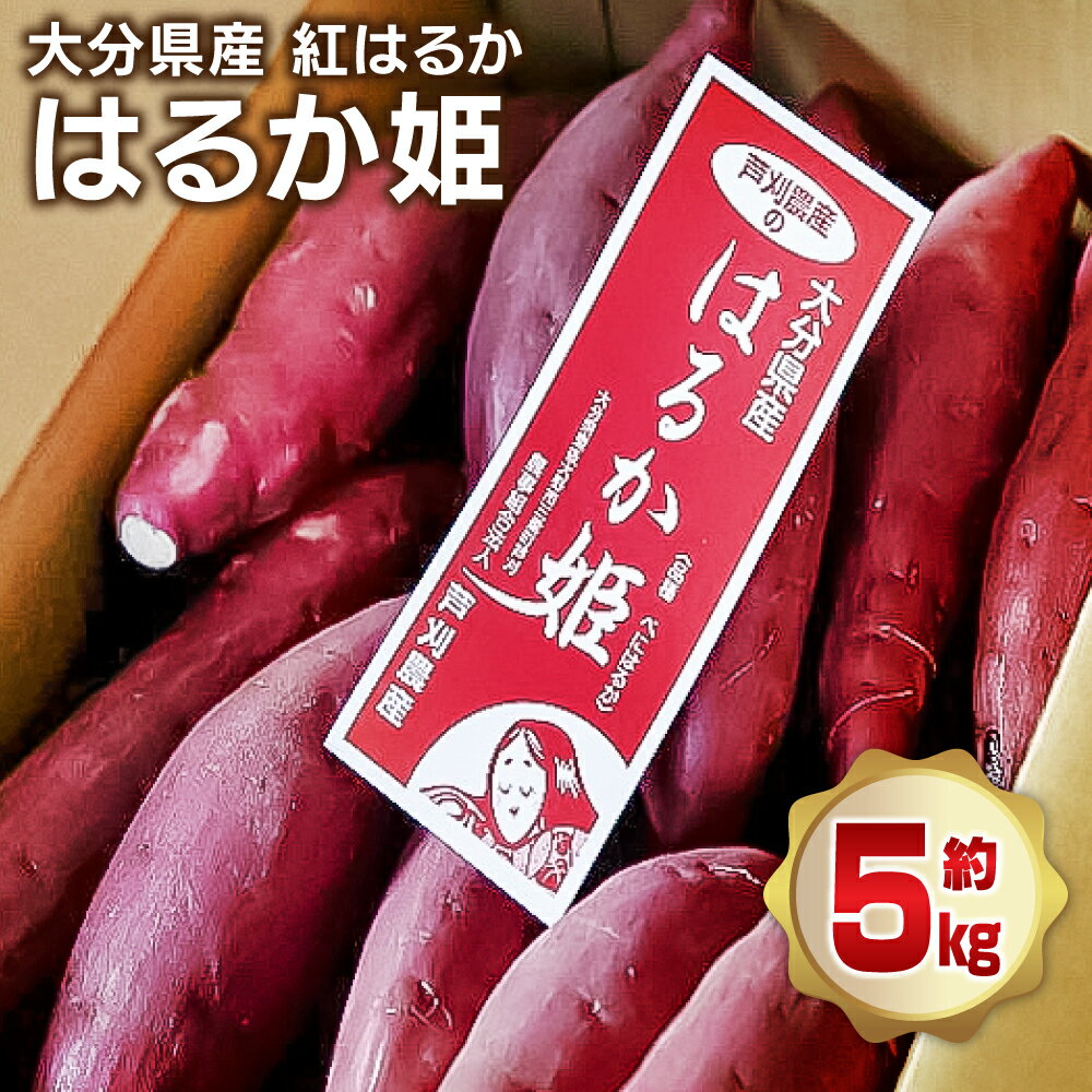 【ふるさと納税】【先行予約】 はるか姫 約5kg さつまいも べにはるか 紅はるか 芋 薩摩芋 甘藷 野菜 焼きいも 国内産 大分県産 豊後大野市産 おやつ スイーツ しっとり 送料無料【2025年11月下旬より順次発送】