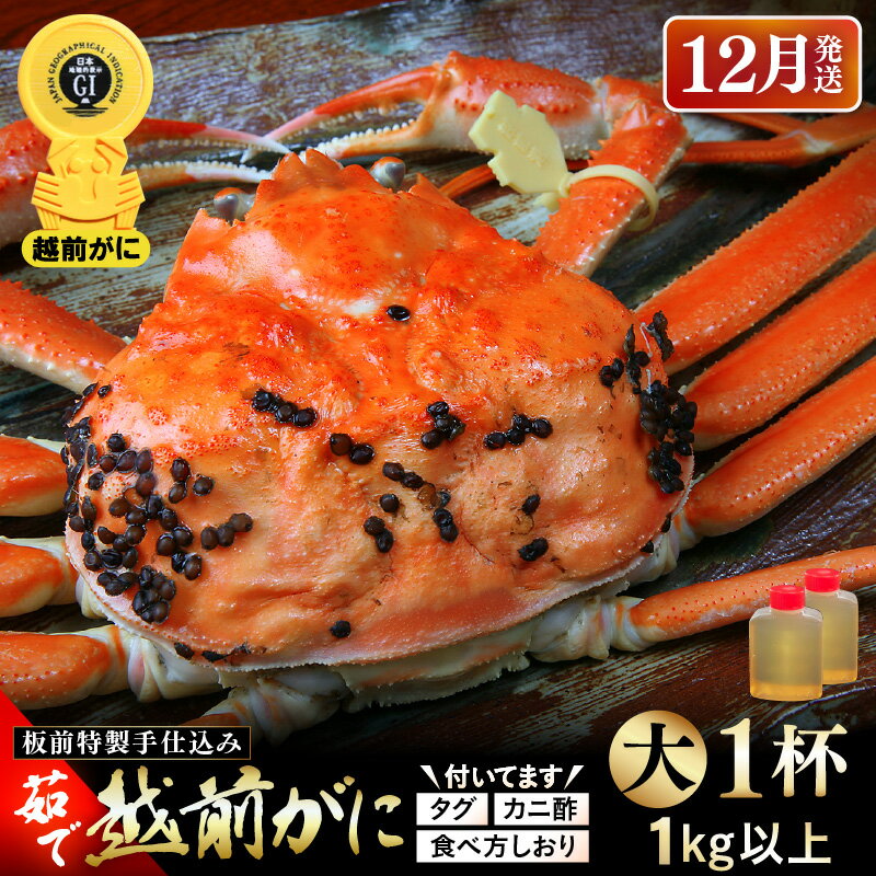 【ふるさと納税】≪茹で≫越前がに大（タグ付き）1杯（生で1kg以上）カニ酢90cc付 板前特製手仕込み 食べ方しおり付き【雄 ズワイガニ かに カニ 蟹 越前ガニ 姿 ボイル 冷蔵 福井県】【12月発送分】希望日指定可 備考欄に電話番号をご記入ください