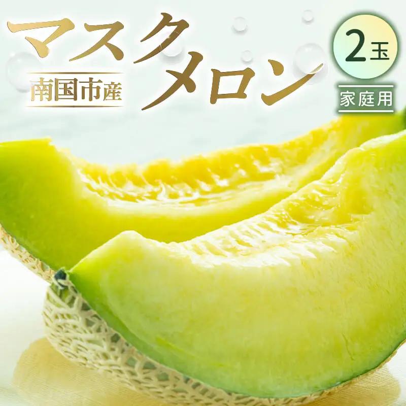 【先行予約】マスクメロン（家庭用） 2玉入 青肉品種 高級メロン！ ／ マスクメロン 果物 フルーツ ギフト 農家直送 NE001