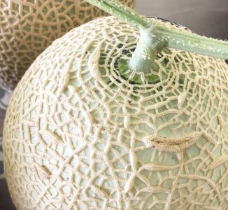 a36-008　訳あり 静岡マスクメロン【1玉】×定期便3回【定期便】