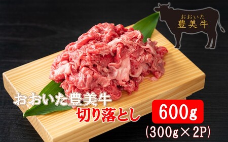 2264R_おおいた豊美牛切り落とし 600g (300g×2P)