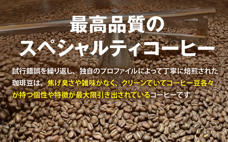 オリジナルブレンド飲み比べセット　400g（200g×2種）豆 粉 [A-185002] / コーヒー オリジナル ブレンド 飲み比べ エチオピア ドミニカ コスタリカ タンザニア ブラジル 珈琲豆 