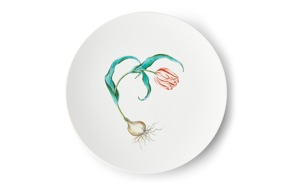 
【伊万里焼/畑萬陶苑】Restaurant MAISON（Paris）φ29cm Plate〈Tulip〉
