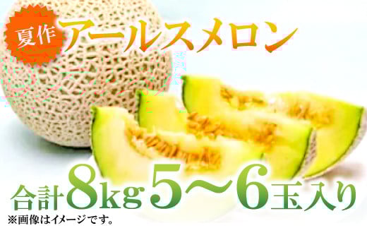 益田産アールスメロン8kg（5～6玉入り）【夏作】【先行予約 期間限定 季節限定 早期予約 果物 くだもの フルーツ メロン アールスメロン 8kg 夏作 青肉】