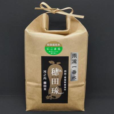ふるさと納税 東温市 〈坂本自然農場 穂田琉〉 特別栽培米:にこまる　精米2kg