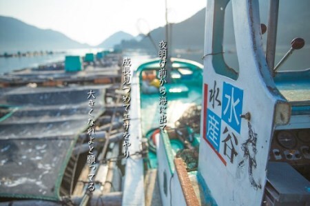 鯛 新姫熊野鯛 お刺身用短冊 アラ付き 一匹 冷蔵【配送日指定可】【mzsi0003-1】