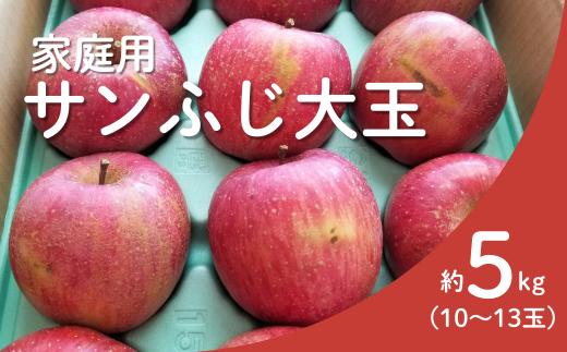 KR20-25A 【年内配送】 りんご サンふじ 家庭用【大玉】 約5kg（10～13玉） / 11月下旬頃～配送予定 // 長野県 南信州 リンゴ 林檎 ふじ さんふじ 訳あり 自家用 農家直送 農家支援 産地直送