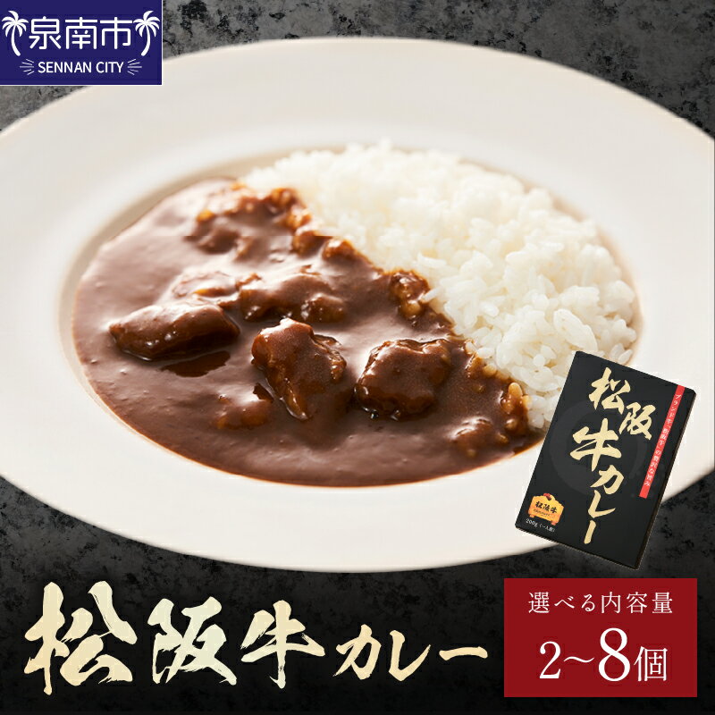 【ふるさと納税】選べる内容量！松阪牛カレー 200g 2個 4個 6個 8個