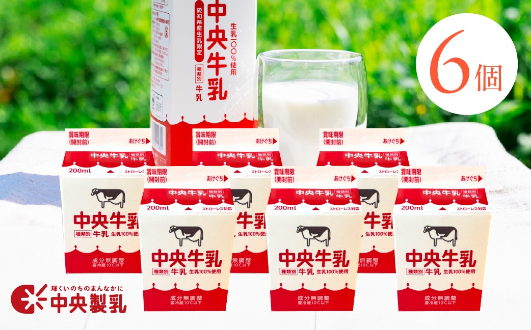 
                  牛乳 飲みきりサイズ 中央製乳 中央牛乳200ml 選べる 6本 24本 セット ミルク 成分無調整 新鮮 生乳100%使用 愛知産生乳限定 牛乳 飲みきりサイズ 牛乳 飲みきりサイズ 牛乳 飲みきりサイズ 牛乳 飲みきりサイズ 牛乳 飲みきりサイズ 牛乳 飲みきりサイズ 牛乳 飲みきりサイズ 牛乳 飲みきりサイズ 牛乳 生乳100%使用 牛乳 生乳100%使用 牛乳 豊橋 牛乳 豊橋 牛乳 豊橋
                