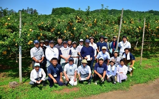 【数量・季節限定】岩手が生んだ究極のりんご『冬恋はるか』2.5kg　≪予約受付≫ 【570】