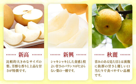 先行予約 梨 おまかせ梨 秀品 約5kg 《8月上旬-10月上旬頃出荷》日本フルーツ株式会社 フルーツ 旬の品種 