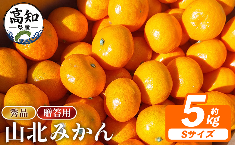 山北みかん 【贈答用】山北みかんSサイズ限定 5.0kg sq-0006