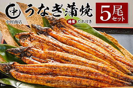 ◆中村商店 うなぎ蒲焼5尾セット 計905g以上