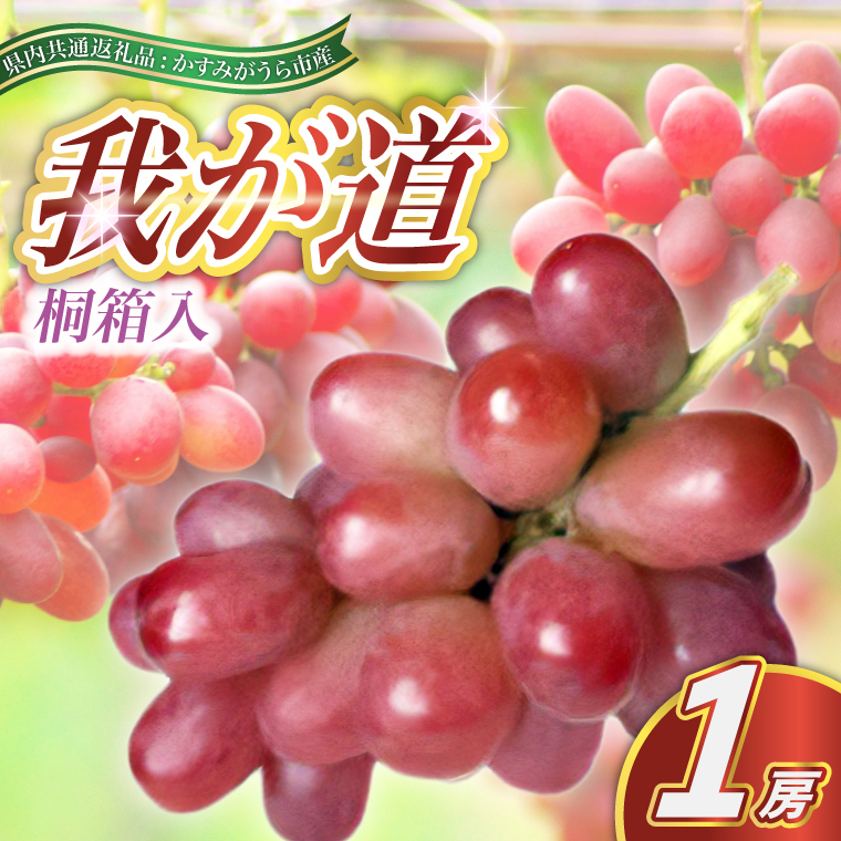 我が道 桐箱入り 1房 ＜2026年9月より順次発送予定＞ (県内共通返礼品:かすみがうら市産)  ギフト 贈答 フルーツ 果物 ぶどう(BR099)