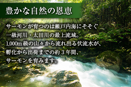 芸北産　山育ちサーモンフィレ＆冷燻サーモンセット OG065_003