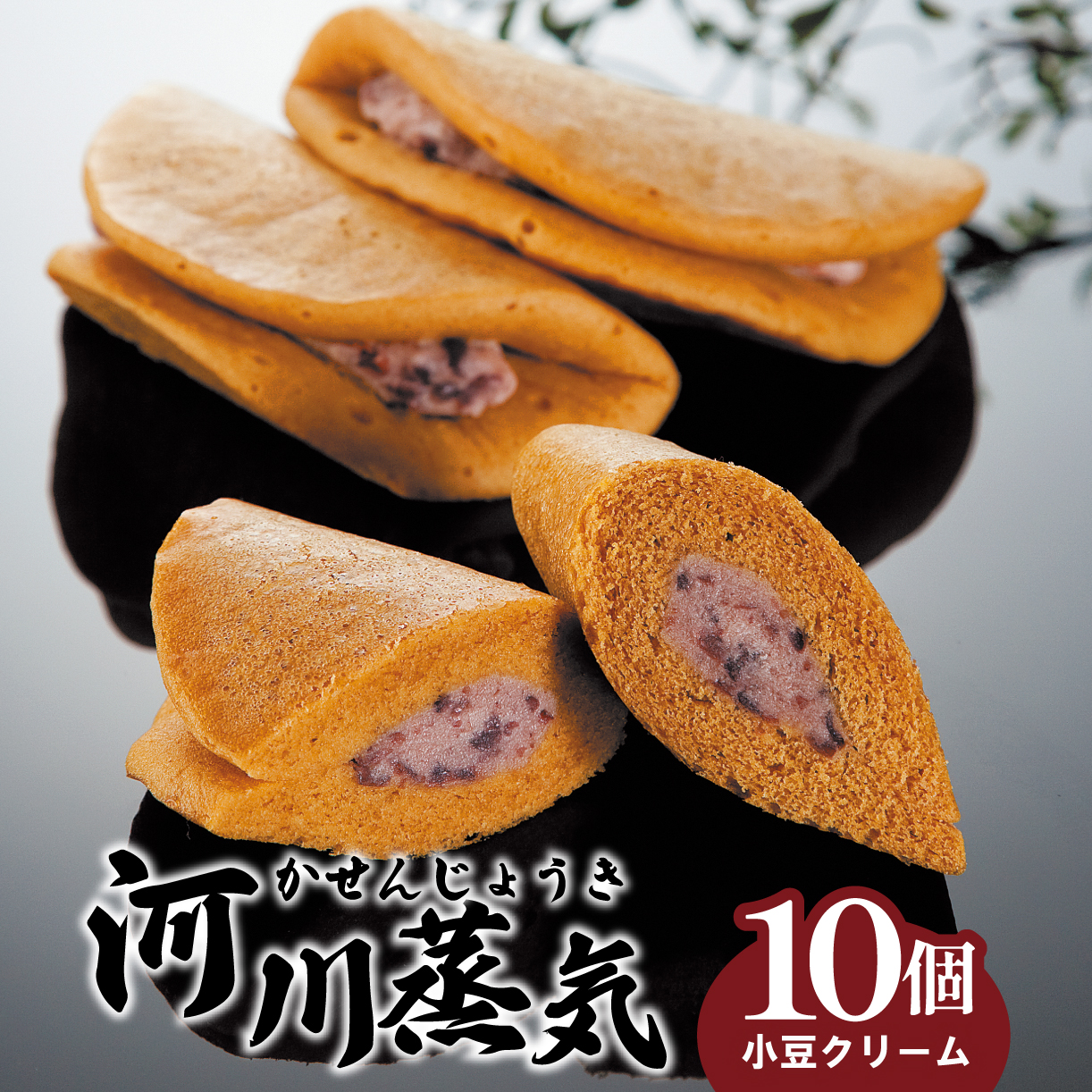 菜菓亭 河川蒸気 蒸しどら焼き 10個入り 和菓子 洋菓子 どらやき どら焼き カステラ 小豆 クリーム 贈答 ギフト おすすめ 新潟銘菓  新潟 新発田 いえい 蒸しどら焼き 菜菓亭 和菓子 洋菓子 お歳暮　B22_02