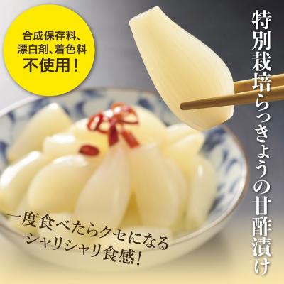 ふるさと納税 鳥取市 特別栽培らっきょうの甘酢漬(6袋セット)