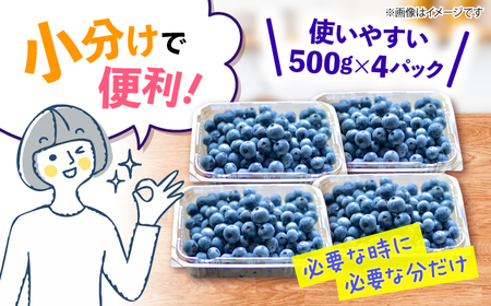 【2026年6月中旬より発送】完熟 ブルーベリー 計2kg  [CBN009] ブルーベリー 新鮮 産地直送