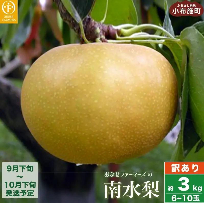 【訳あり】南水 約3kg 6～10玉  [おぶせファーマーズ]  梨 なし フルーツ 果物 ワケアリ 傷 キズ 不揃い 規格外 家庭用 クール便 冷蔵便 長野県産 信州 先行予約 数量限定 【2026年9月下旬～10月下旬発送】［F-32］