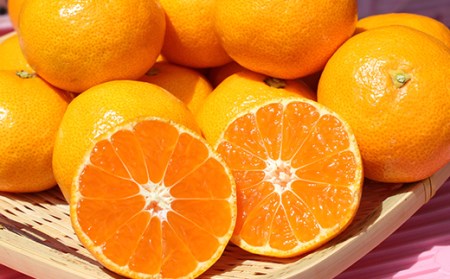 【期間限定】ハウスみかん約1kg（化粧箱入） みかん 温州ミカン 1kg 甘い 秀品 柑橘類 糖度 6月 7月 8月 ハウスみかん フルーツ 先行予約 九州 大分 杵築 ＜132-010＞