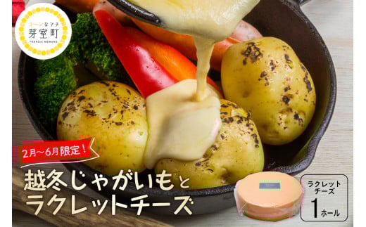 北海道十勝芽室町 なまら十勝野 越冬じゃがいも ラクレットチーズ1ホール 3,700g以上 セット　me000-009c