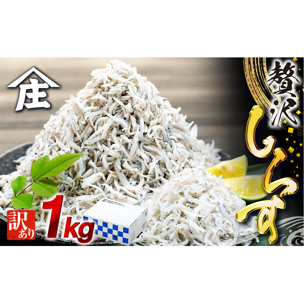 しらす 1kg 訳あり 冷凍 しらす干し 減塩 ごはん 丼 パスタ チャーハン サラダ 魚 料理 山庄 愛知県 南知多町 師崎