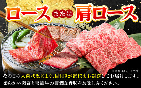 飛騨牛 焼肉 BBQ用 600ｇ 多治見市 / 養老ミート 冷凍 ロース 肩ロース 和牛 ギフト[THG016]