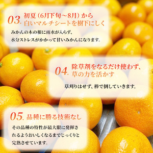 R-37「果樹園みかんの木」のお楽しみ５回定期便コース　みかん ミカン 蜜柑 温州みかん 完熟みかん 甘熟 柑橘 しらぬひ でこぽん デコポン みかんジュース ストレートジュース 100％ジュース 有