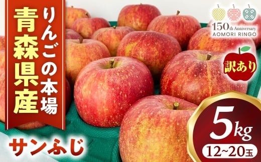 【訳あり】りんご【サンふじ】約5kg（12～20玉）【2025年産・先行予約】★2026年1月以降順次発送予定★ アップル 林檎 フルーツ 果物 果実  産地直送 農家直送 送料無料 青森県三戸町 R0609