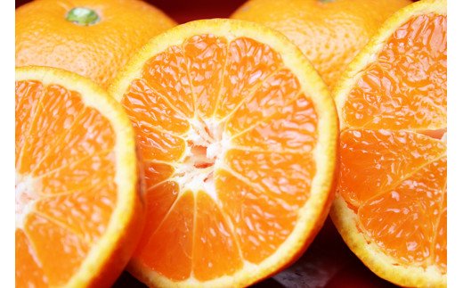 
                  【先行予約受付　訳あり】田村みかん　10kg ※2026年11月下旬～2027年1月下旬頃に順次発送予定(お届け日指定不可) みかん 柑橘類【uot717】
                