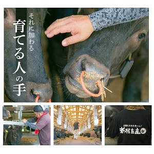 【A01008】鹿児島県産黒毛和牛ホルモンミックス〈約1.6kg〉_イメージ5