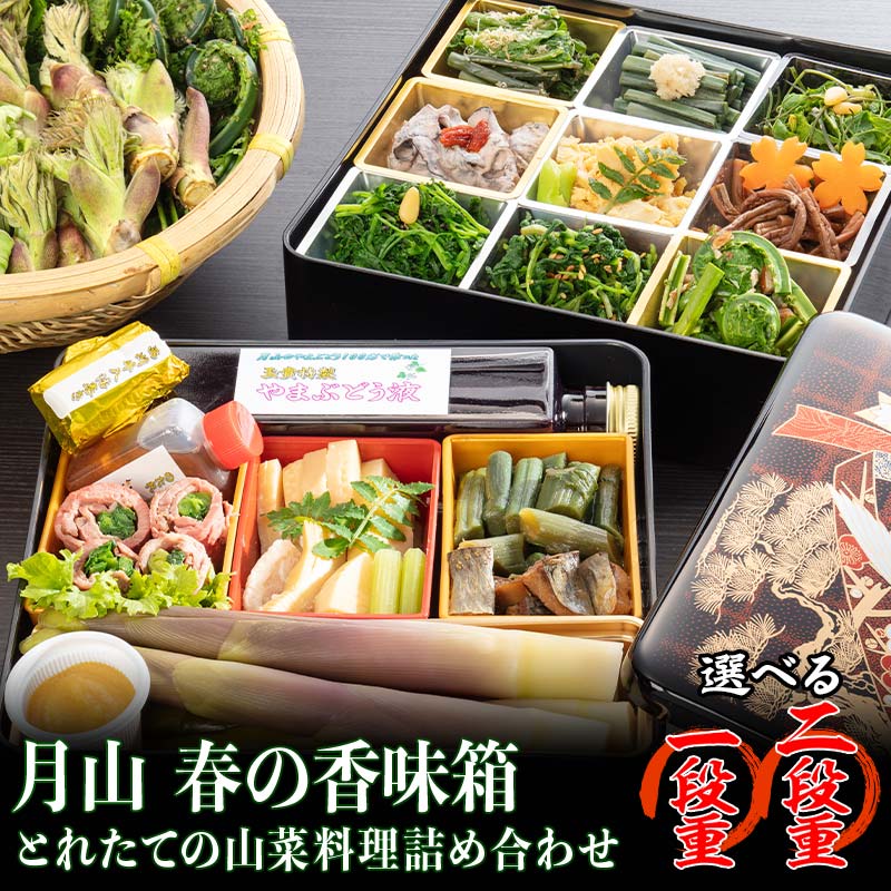 【ふるさと納税】 【選べる容量】《2026年先行予約》【清流庭園 山菜料理 玉貴】 採れたての山菜料理詰め合わせ 月山 春の香味箱 一段重／二段重 2026年4月下旬から順次発送 山の幸 採れたて 春 詰合せ 盛り合わせ 贈答 ギフト 家庭 自宅 山形県 西川町 月山 FYN9-162var